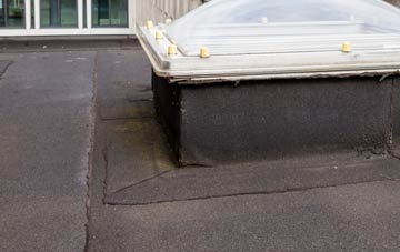 disadvantages of Dyffryn Ardudwy flat roofs