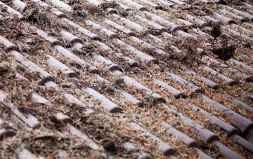 Dyffryn Ardudwy roof cleaning companies