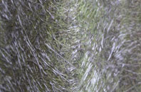 Dyffryn Ardudwy fibreglass roof work